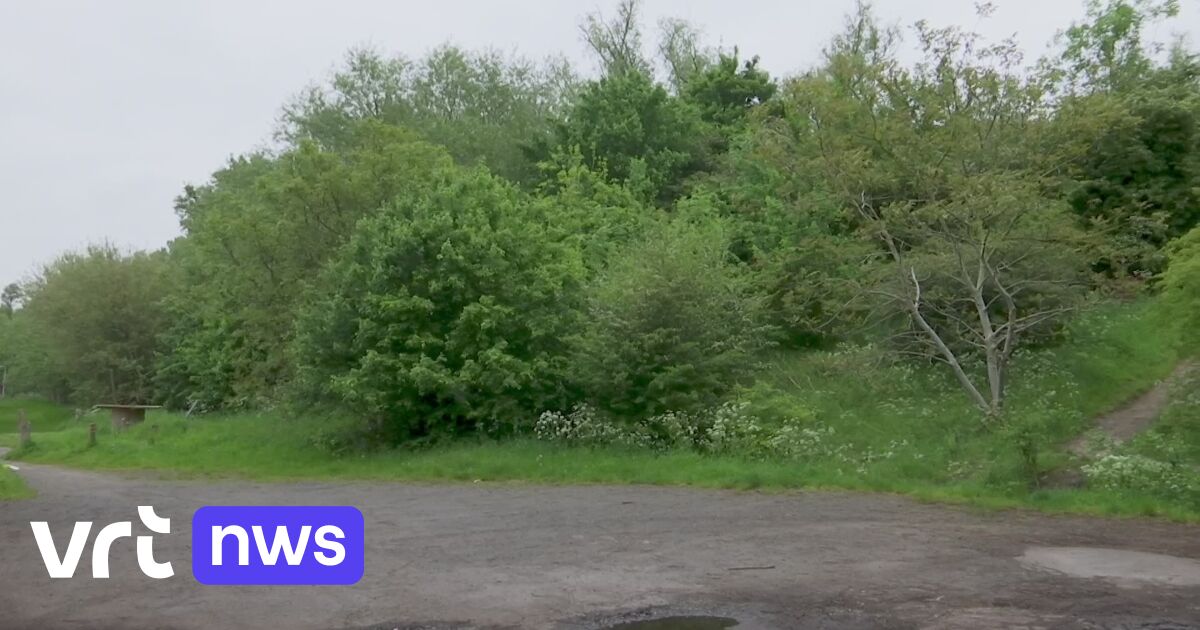 Public prosecutor investigates gang rape of 14-year-old girl in Kortrijk, alleged rapists aged between 11 and 16 years old  | VRT NWS: news