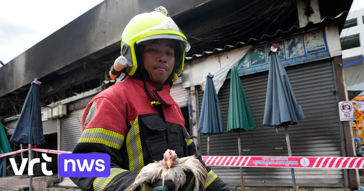 1.000-tal dieren komen om bij brand op beroemde Thaise Chatuchak-markt