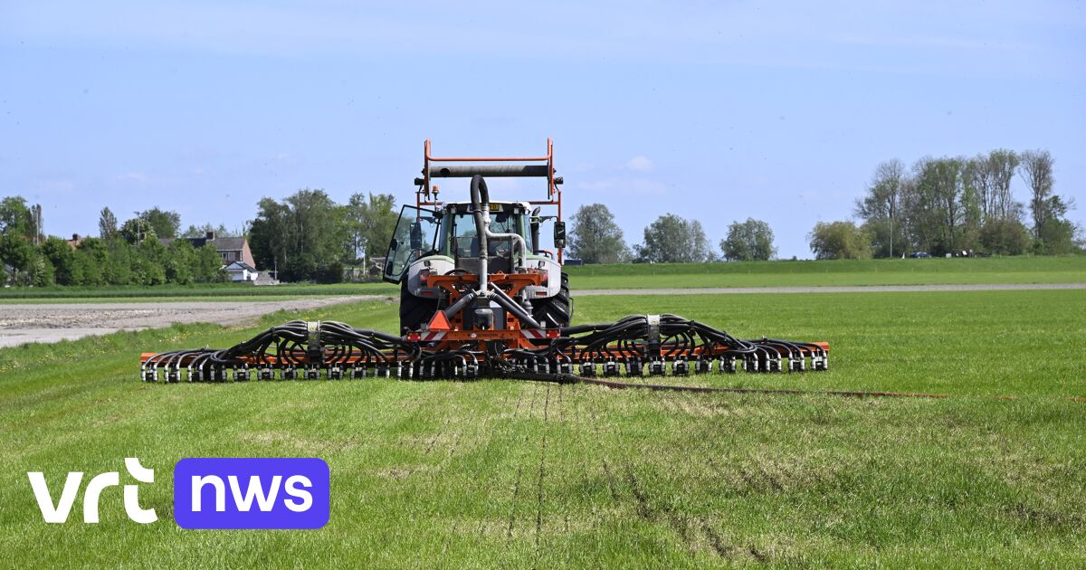 Le gouvernement flamand adopte un plan pour limiter l’exposition aux pesticides