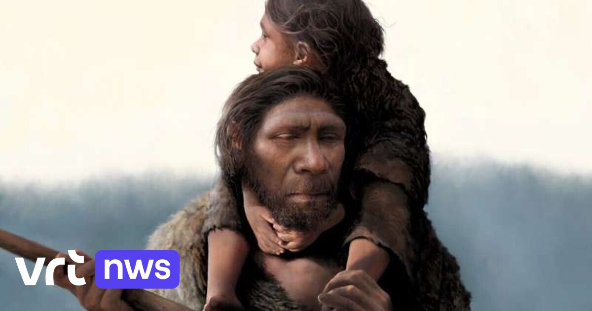 "Historic cannibalism in Namur area", DNA research reveals