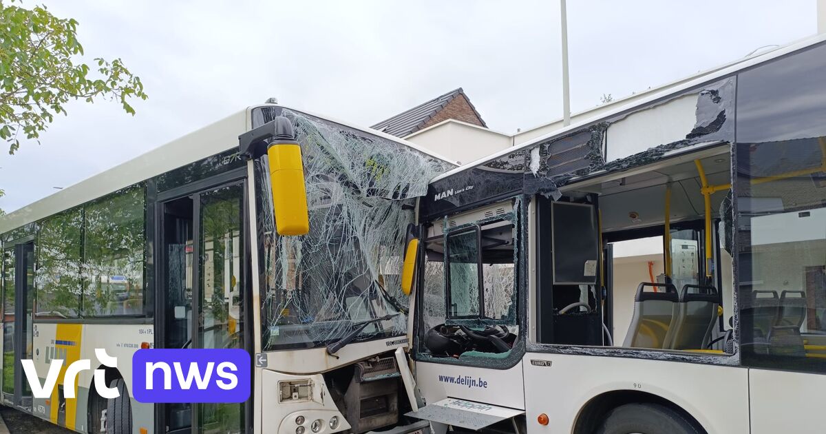 Na het ongeval tussen 2 lijnbussen in Kieldrecht waarom moet je geen