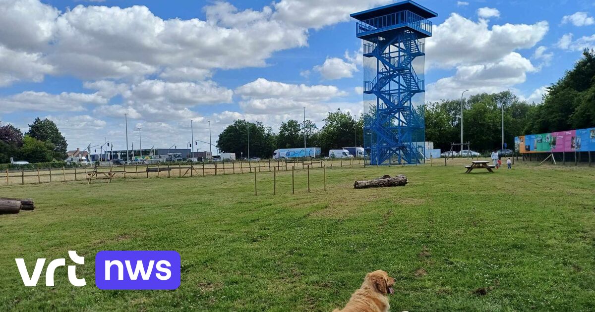 Roeselare Gaat Grootste Hondenbos Van West Vlaanderen Aanleggen