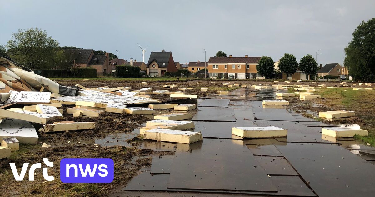 Roof of Haaltert library washed away by stormy climate: “Many books destroyed by the rain” – VRT.be