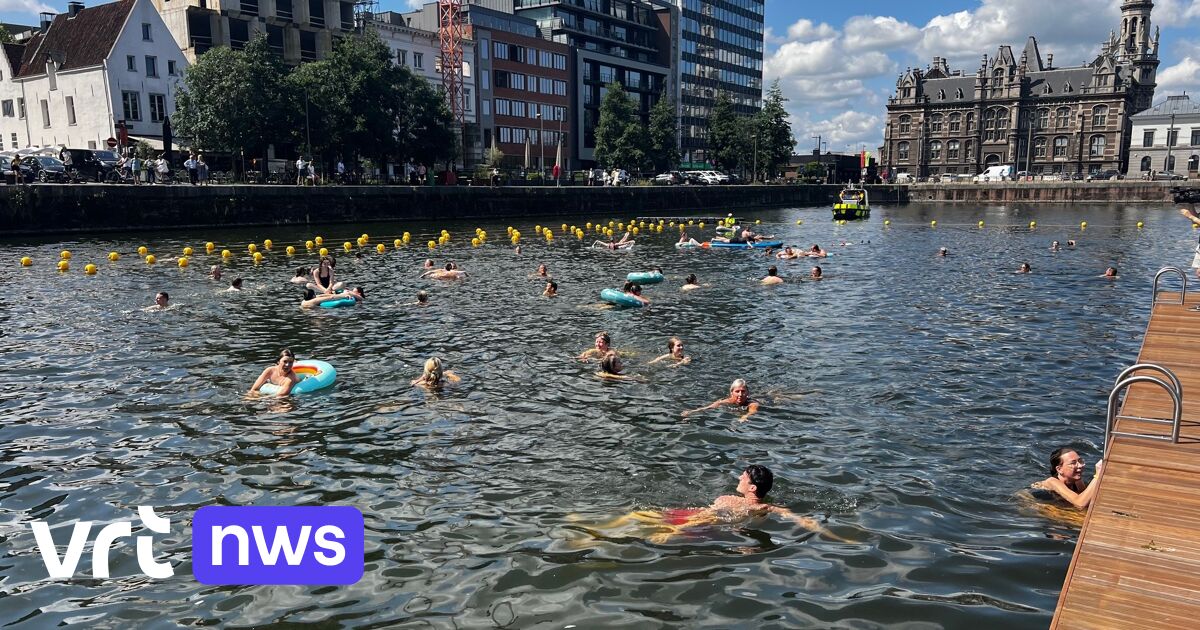 Antwerpen pakt uit met Zomers Zwamparadijs aan het MAS: Sportoase neemt het Stokje over!