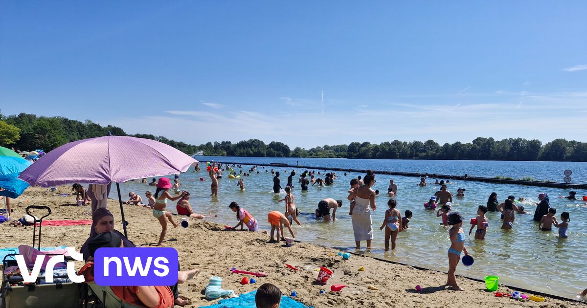 Jongeren filmen 'krokodil' in zwemvijver De Nekker in Mechelen: "Bleek duikoefenobject van brandweer