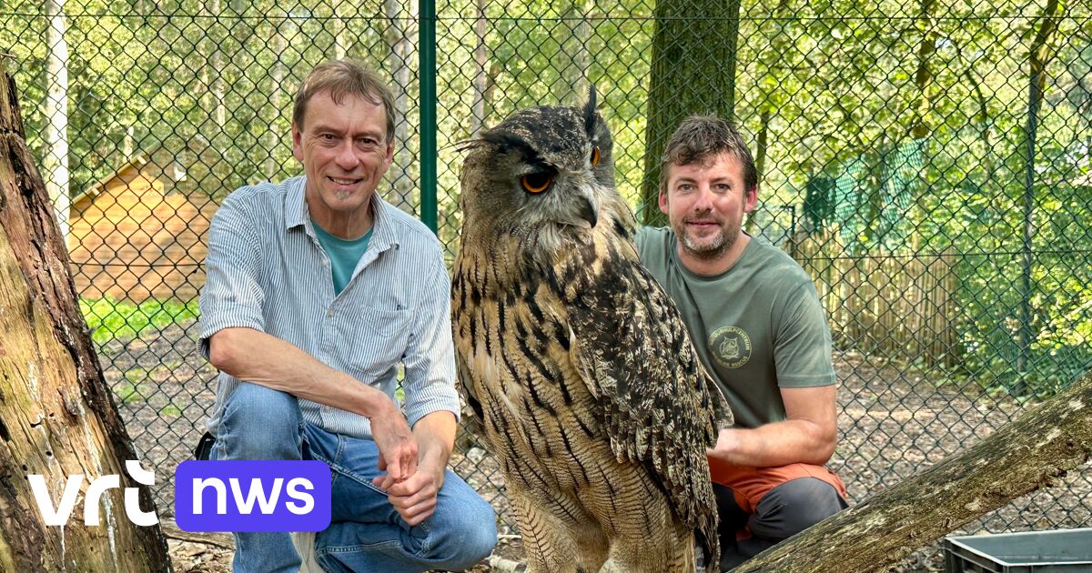 Natuurhulpcentrum Oudsbergen bezorgd over strengere regels voor opvangcentra: 