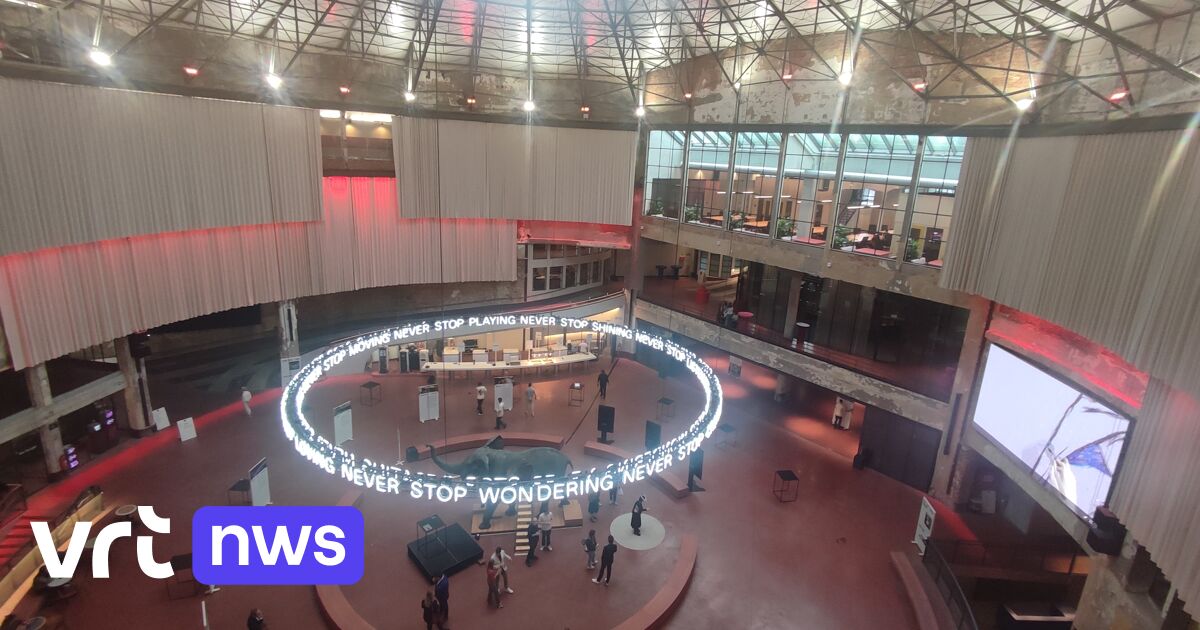 Über 700 KI-Startups in Belgien - Nur wenige davon fahren Gewinne ein