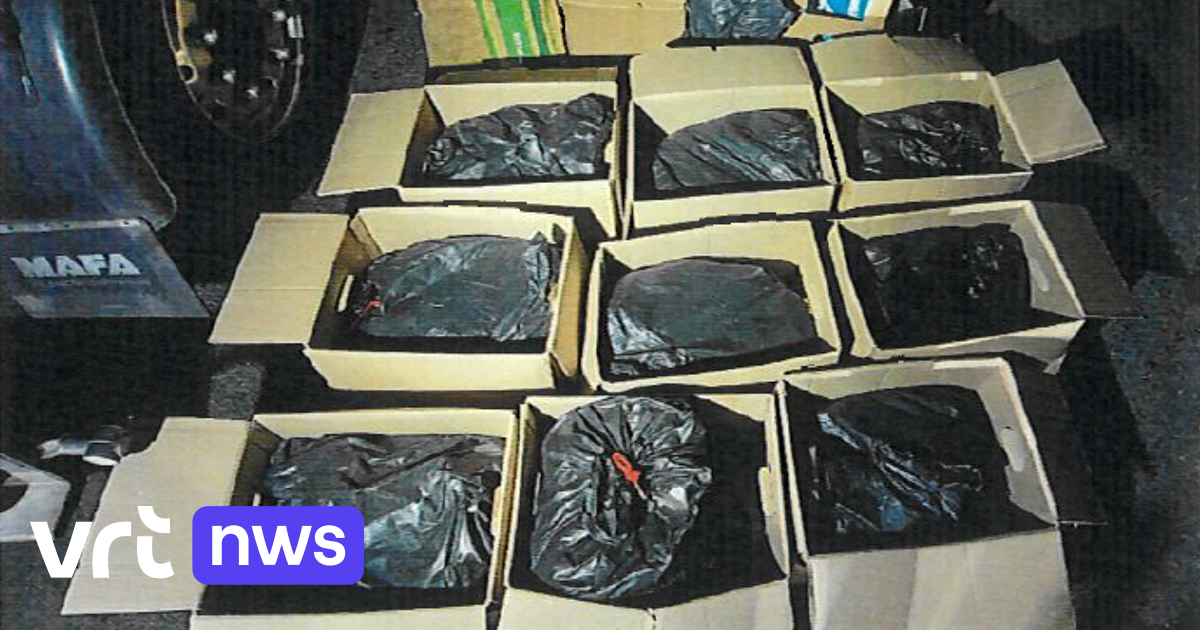 Grote drugvangst op snelwegparking aan E17 in Waasmunster, 4 mannen ...