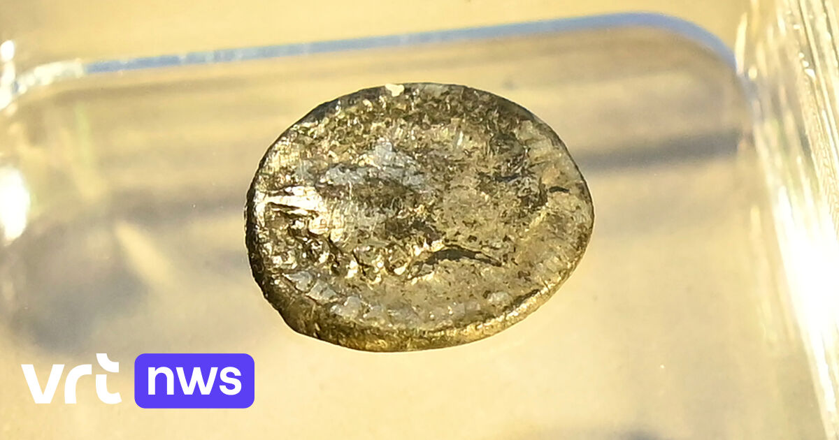 Grootste Schat Ooit Gevonden Nederland