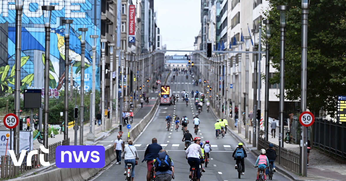 Autoloze Zondag in meer dan 50 steden en gemeenten: wie naar Brussel