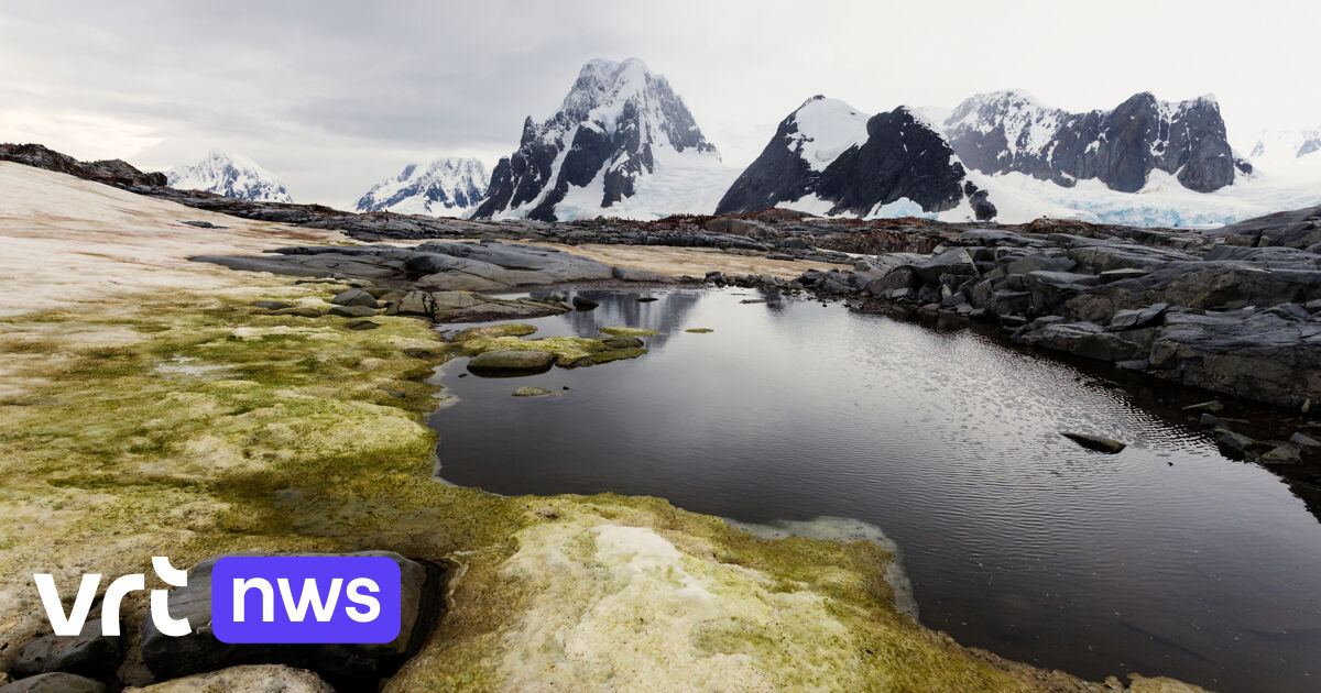 Climate Change Impact: Antarctic Peninsula’s Rapid Ecosystem Transformation Revealed in New Study