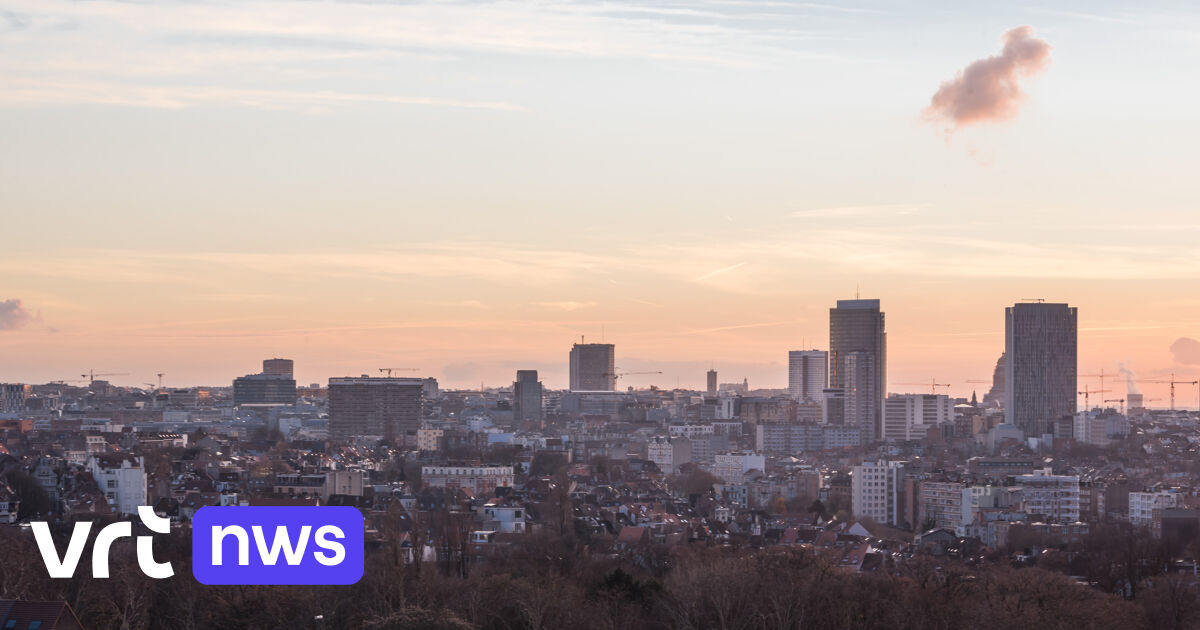 Groen blijft grootste lokale Nederlandstalige partij in Brussel, ontdek hier alle Nederlandstalige v