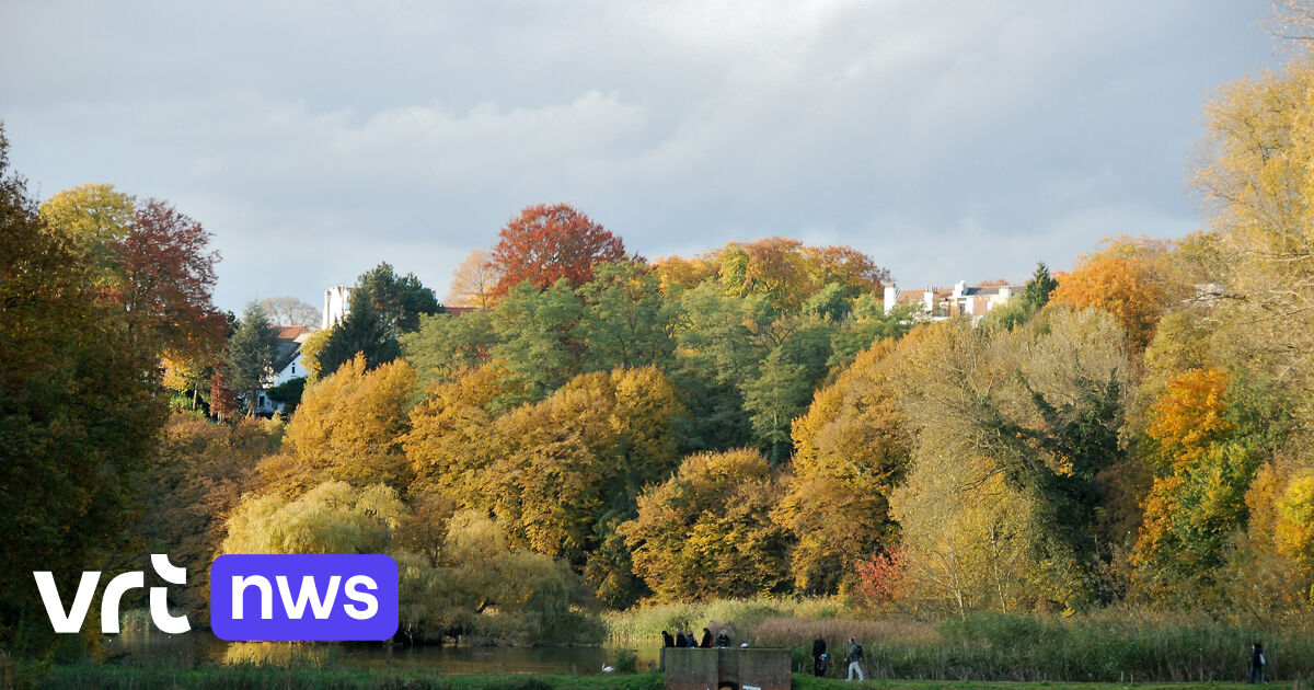 Giornate grigie e temperature piacevoli nella prima metà della pausa autunnale