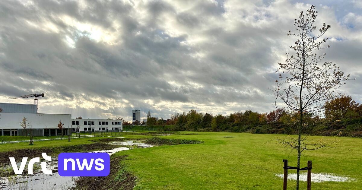 Inwoners van Beringen-centrum krijgen speel- en belevingspark aan scholencampus van het Spectrumcoll