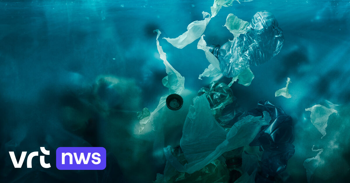 TRUSCEND Voorgetuigde vismallen, 1:50 super duurzaam TPE-viskunstaas, goed gemaakt, levensechte garnalen rivierkreeft Shad Swimbait, onkruidloos kunstaas voor baarsforel snoekbaars, zoutwatervistuig