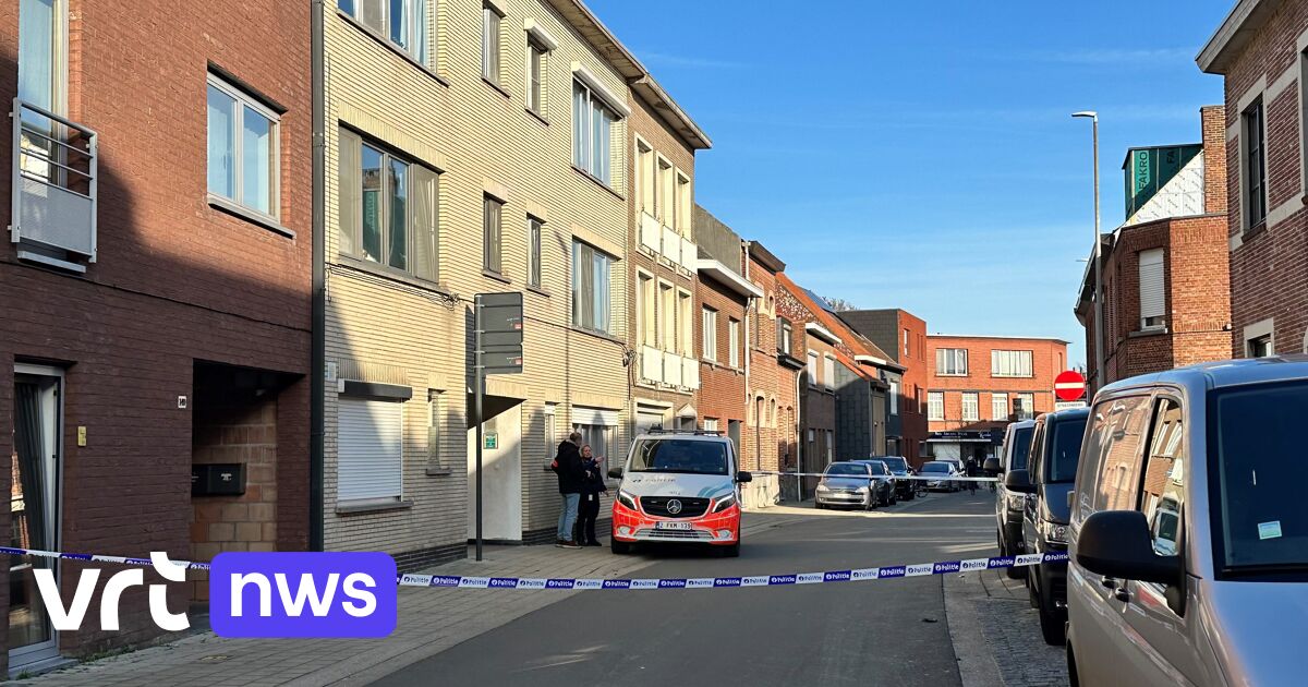 Vrouw 46 Met Geweld Om Het Leven Gebracht In Appartement In Herentals Vrouw 46 Met Geweld Om Het Leven Gebracht In Appartement In Herentals