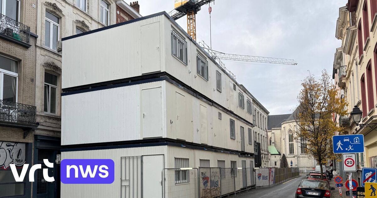 ISOP Vuurladder 7,5 m (25 ft) voor ramen van de derde etage, vlambestendige veiligheidskabels met haken, draagvermogen tot 900 kg