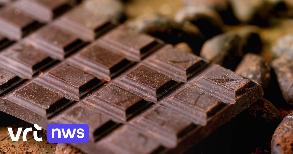 Flandern erzielt Rekordzahlen beim Export von Schokolade