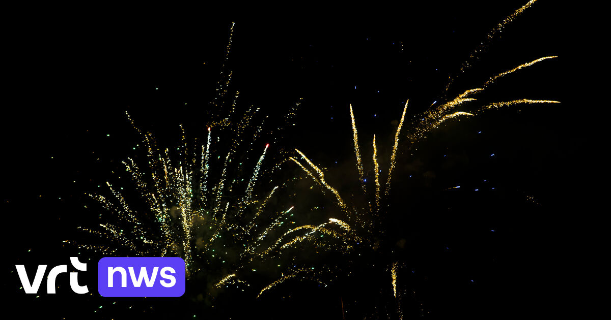 Dierenasiel Sint-Truiden geeft tips voor vuurwerk tijdens nieuwjaarsnacht: 