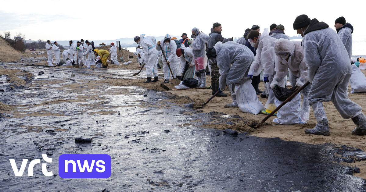 Wetenschappers in Rusland hekelen aanpak van olieramp op Zwarte Zee: 