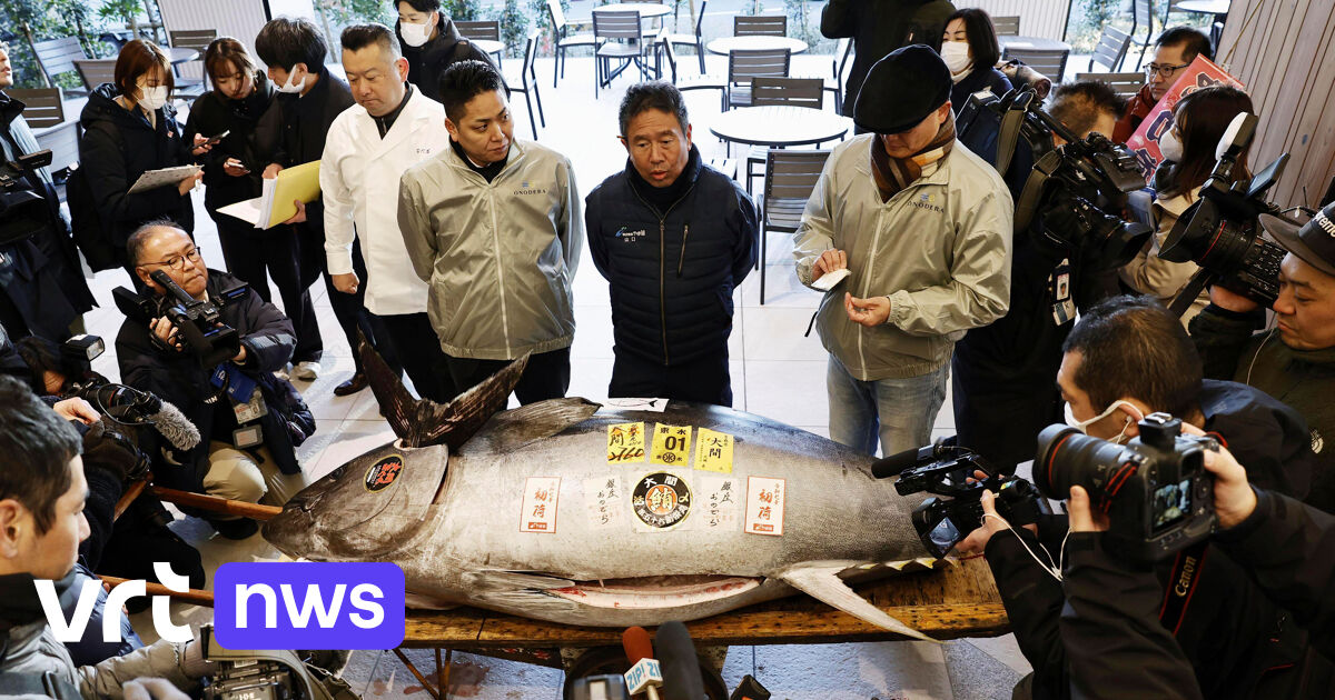 日本の寿司チェーン、今年最初の本マグロに130万ユーロを支払う