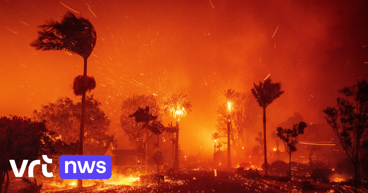 bosbranden californië 2022