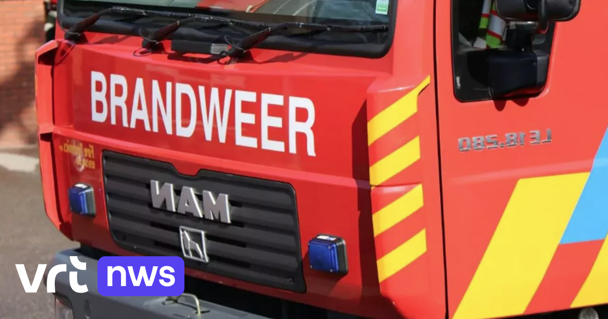 Carport en auto volledig uitgebrand in Zonhoven: 