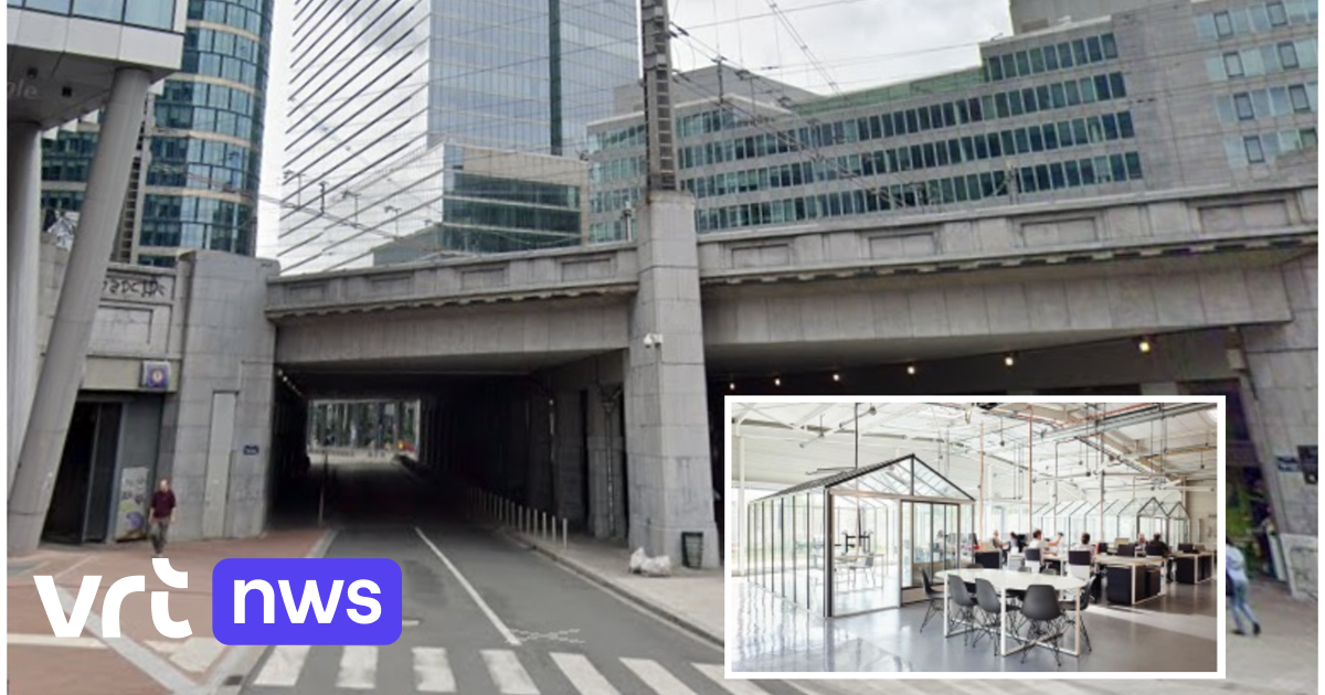 Vernieuwde Rogierpassage in Brussel tegen 2028 klaar: "Tot die tijd verloedering voorkomen"