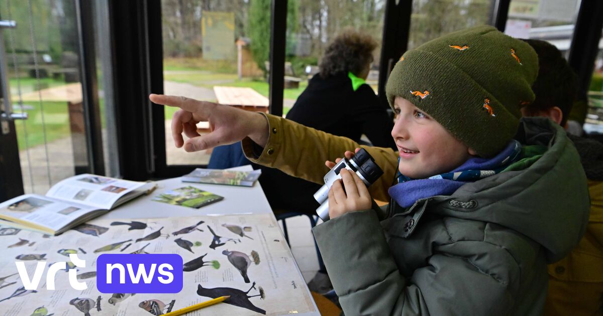 Vogeltellers komen samen in Beringen voor Grote Vogelweekend: 