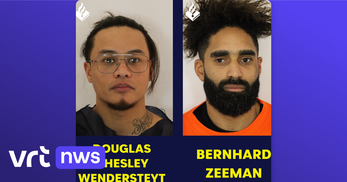 Nederlandse politie verspreidt namen en foto's van twee opgepakte verdachten voor kunstroof Assen