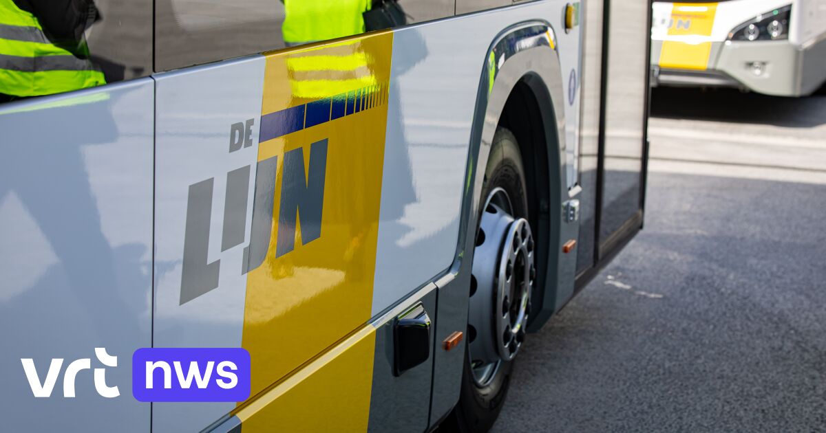 De Lijn bestellt 268 Elektrobusse bei chinesischem BYD und über 80 bei Daimler