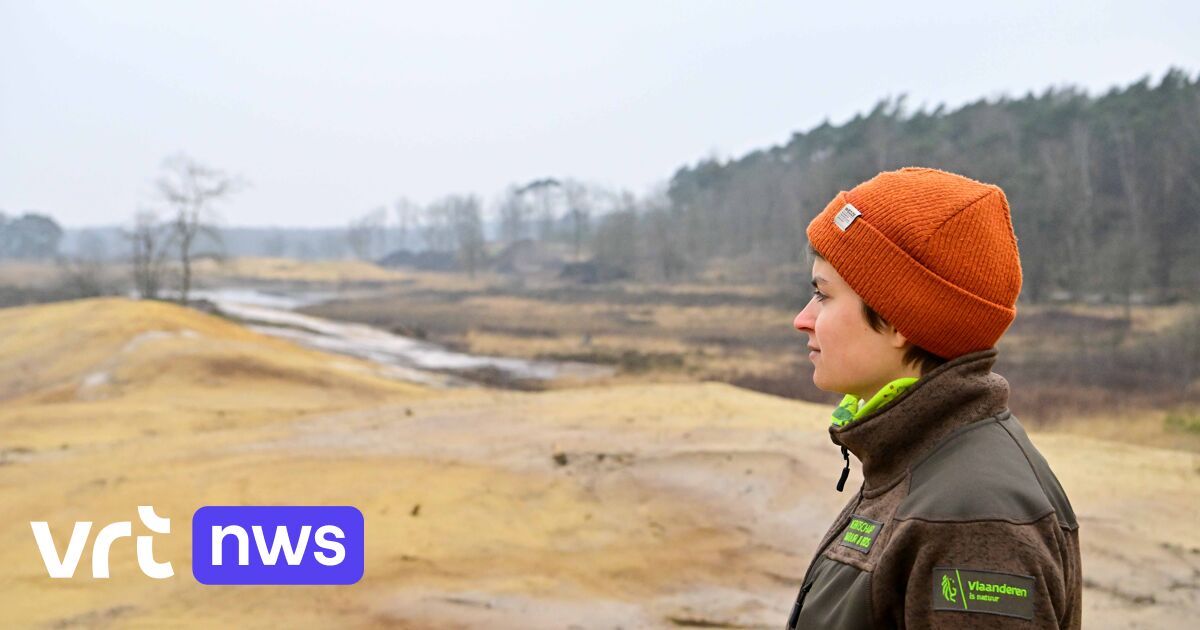 Natuurgebied De Teut in Zonhoven hersteld: 
