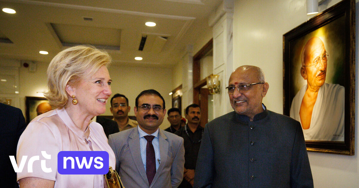 Prinses Astrid zal om gezondheidsredenen niet langer economische missies leiden