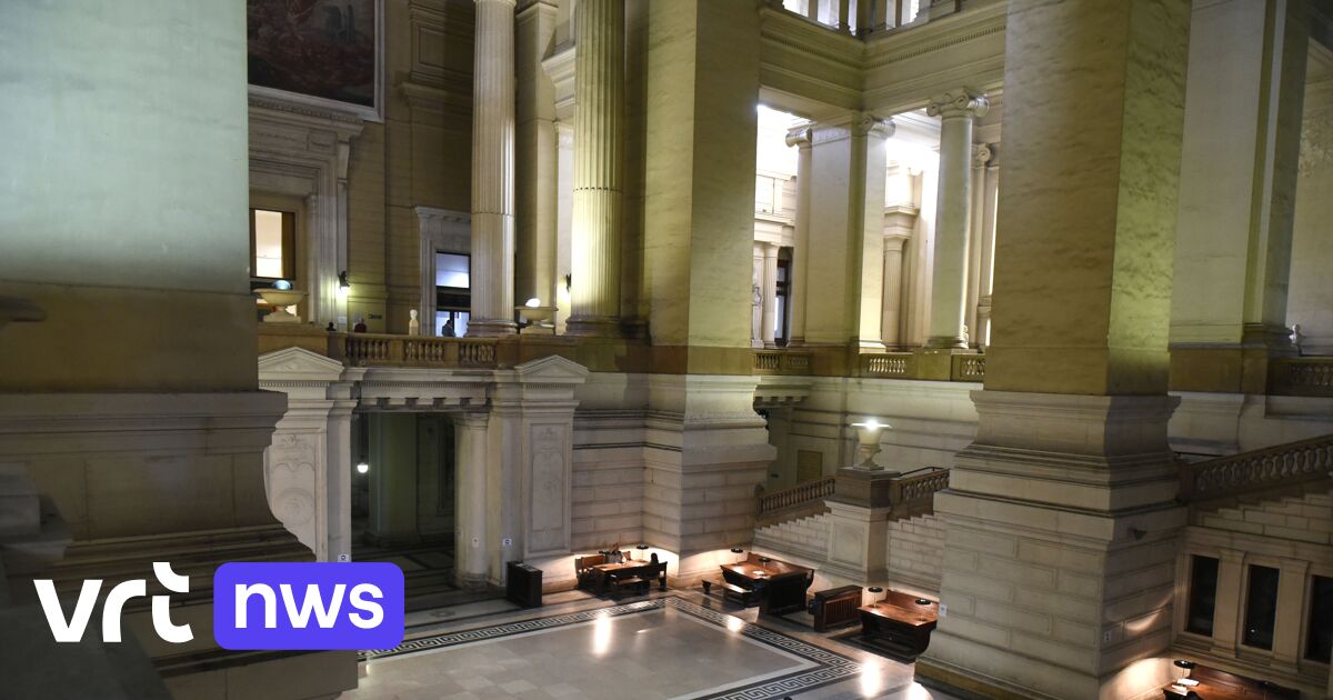 Raadkamer bevestigt aanhouding van man die cafébaas doodschoot in Anderlecht