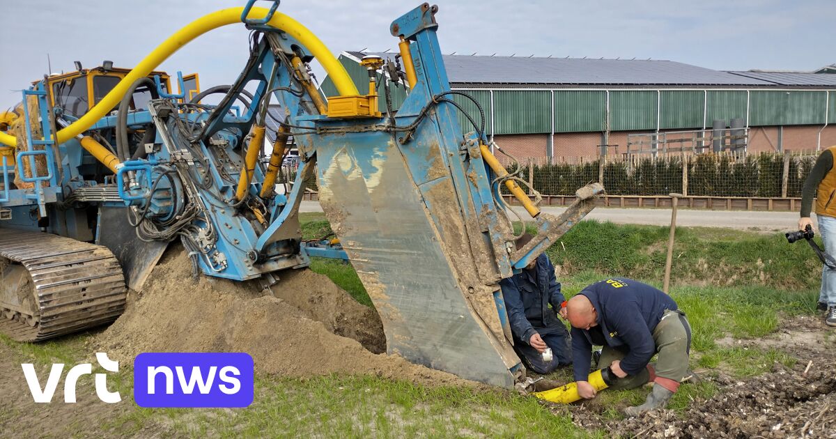 Ravels krijgt innovatief drainagesysteem voor 55 hectare landbouwgrond