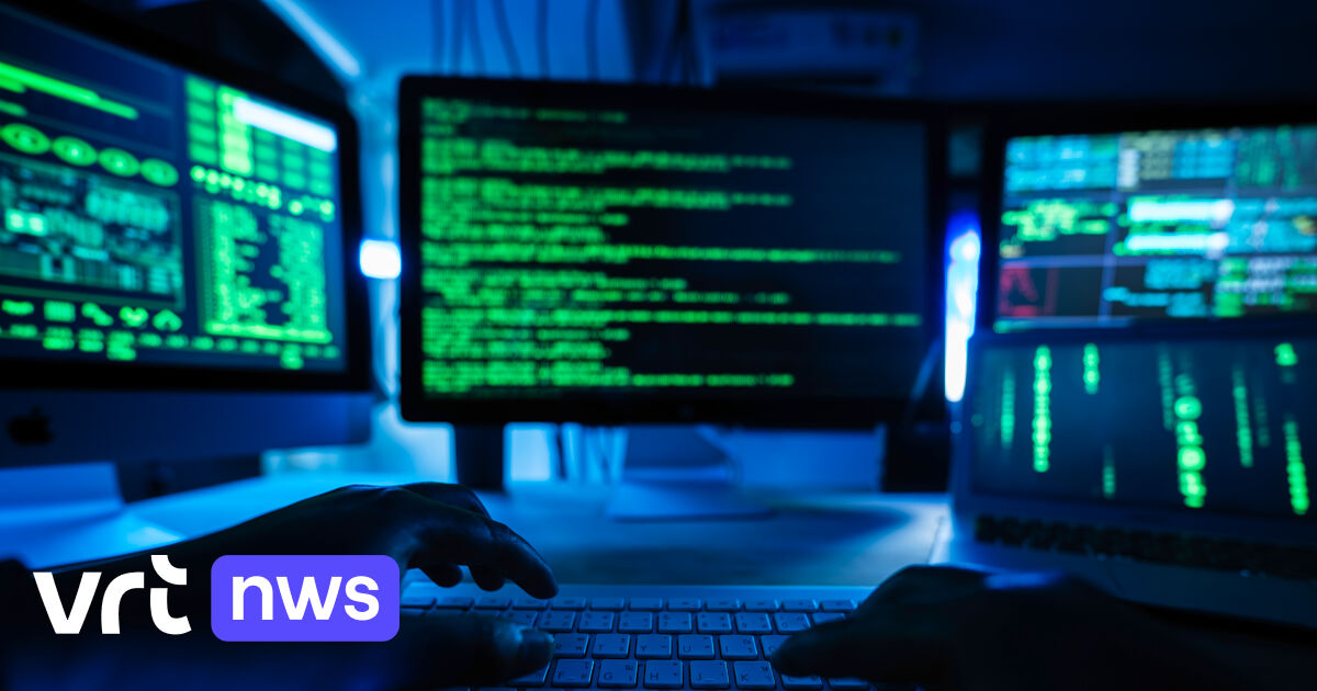 Belgiens Parlament billigt "Data-Mining" zur Bekämpfung von Steuerbetrug