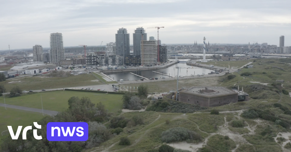 Ook vzw's Climaxi en Natuurpunt dienen bezwaar in tegen 2 nieuwe woontorens vlak bij Fort Napoleon i