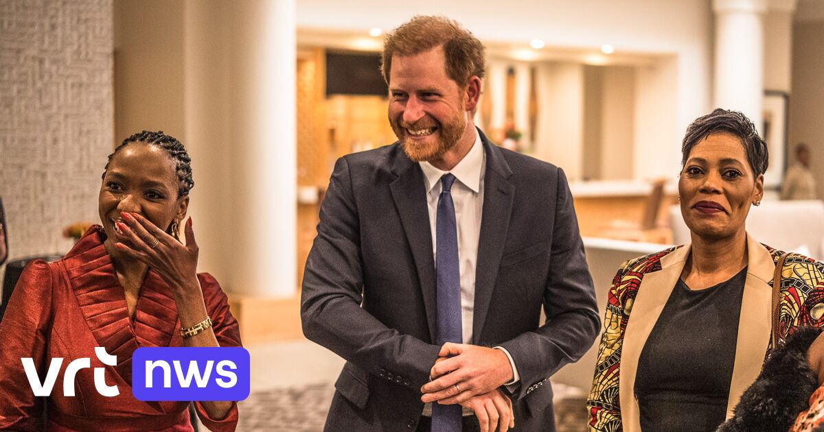 Prince Harry Accused of Bullying by Charity Chairman