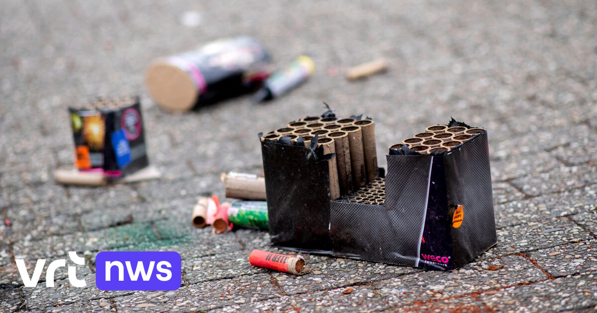 Politie Mechelen bewaakt dierenasiel extra op oudejaarsavond tegen vuurwerk