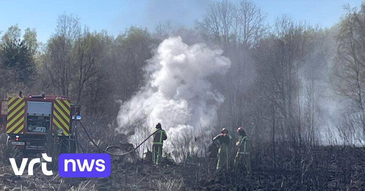 heidebrand-aan-vliegveld-van-zwartberg-in-genk-brandweer-nog-steeds