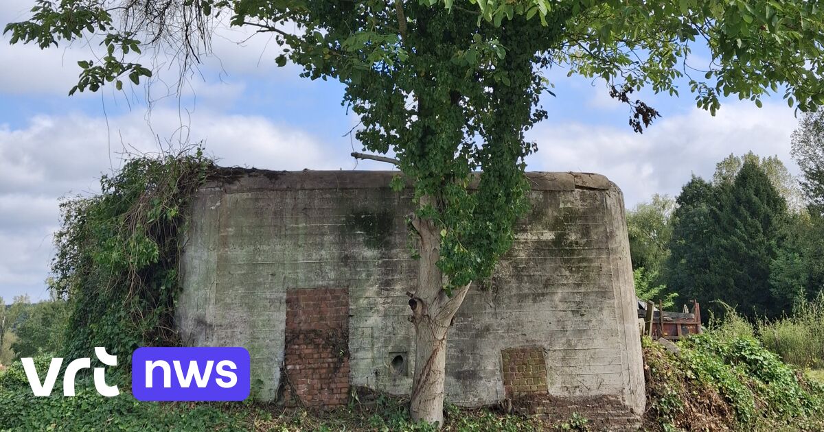 Bunker wordt museum: Huldenberg wil publiek laten kennismaken met verhalen over gevechtsbunker uit W