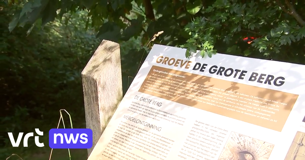 Mergelgroeve Grote Berg in Riemst krijgt officieel beschermde erfgoedstatus: 