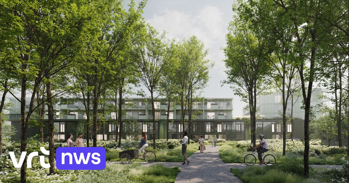 Parkbos in centrum van Houthalen moet groen karakter van gemeente ...