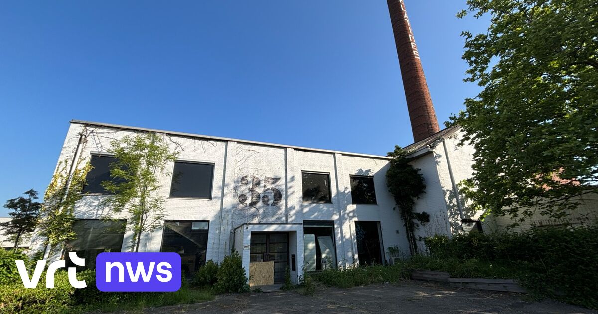 Hasselt wil restanten gelatinefabriek slopen na brand in gekraakt pand: "Ramen dichtmaken heeft geen