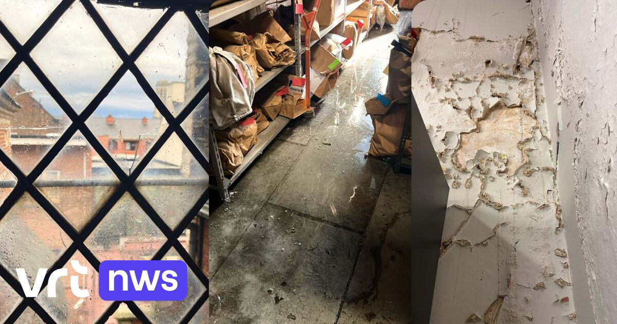 Waterlekken, schimmels en muizen in rechtbank in Mechelen: "De meeste scoutslokalen zijn in een bete