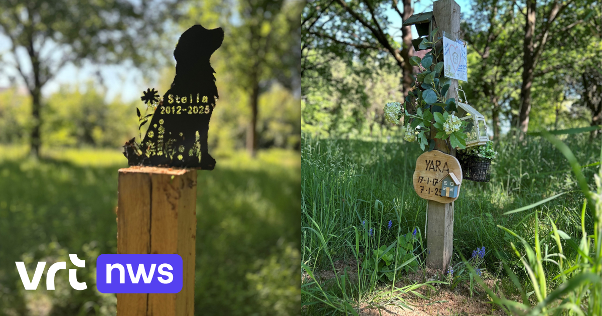 Al 40 huisdieren kregen een rustplaats in de dierenbegraafplaats in Kessel-Lo