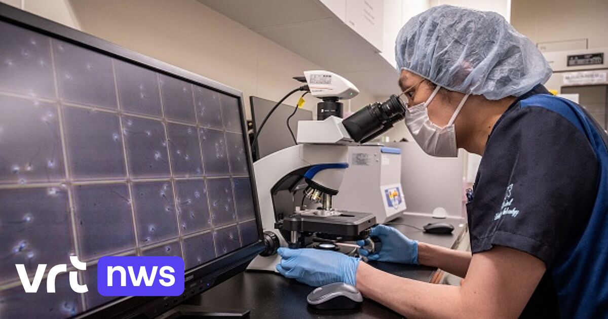 Minister will Anonymität vollständig abschaffen: Spenderkinder in Belgien sollen ab 12 Jahren Informationen über ihren Spender anfordern können