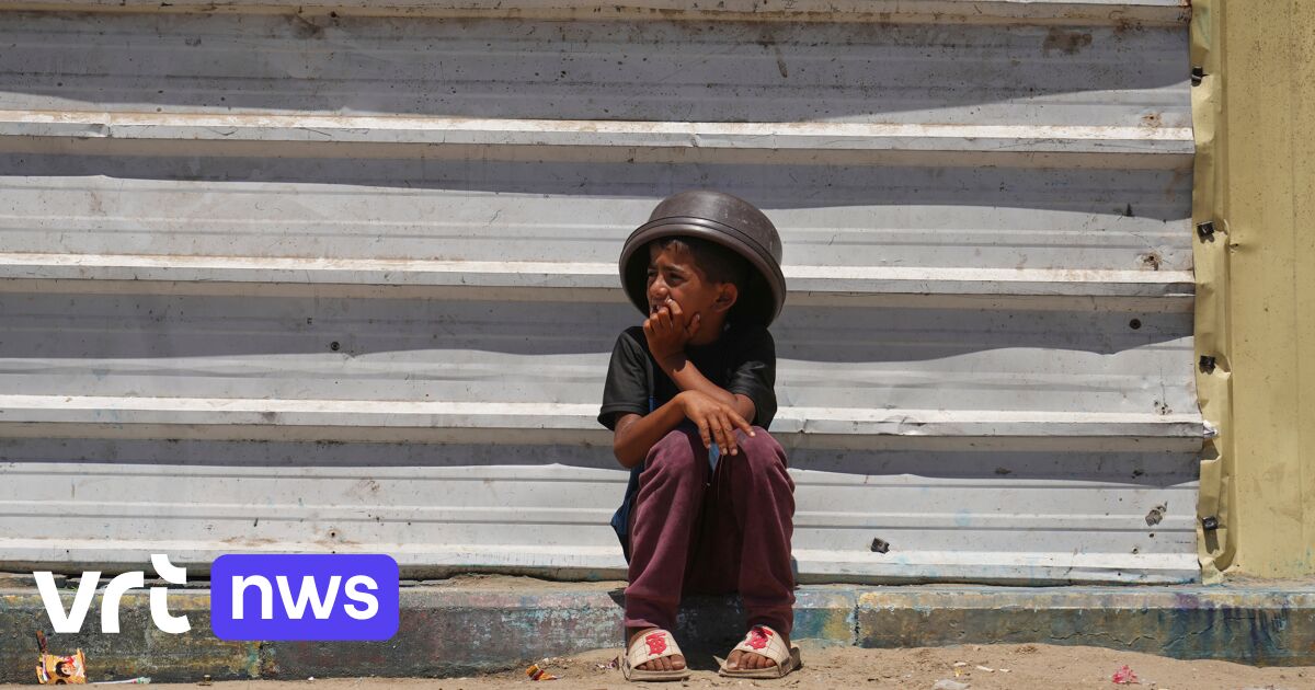 300 prominente Belgier fordern in offenem Brief Maßnahmen gegen Israels Vorgehen in Gaza