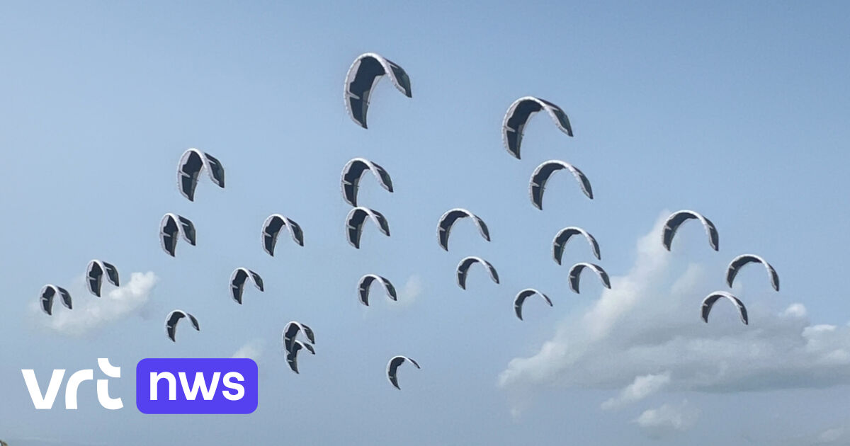 Stunning kite display over Knokke-Heist beach as part of art project