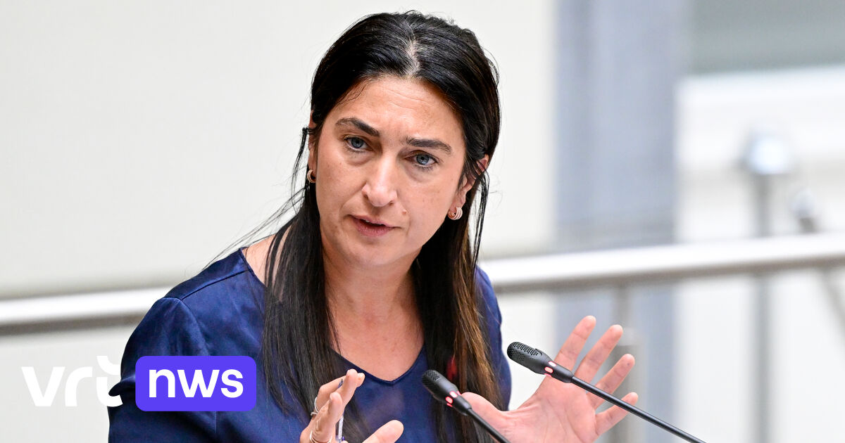 Loopbaanbegeleiding: "Veel geld, heel veel verlies onderweg en weinig kwaliteitsgarantie", geeft Dem